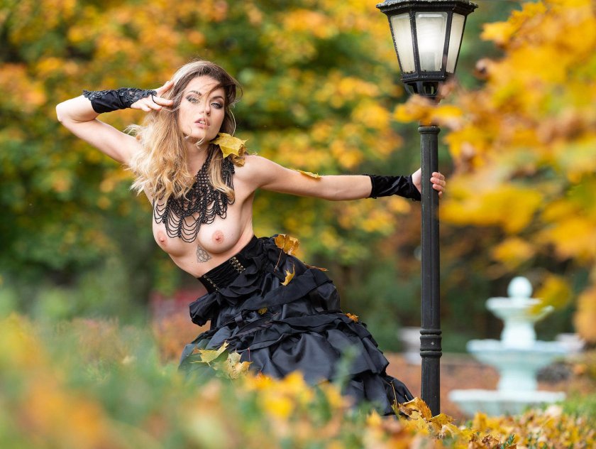 In the autumn garden