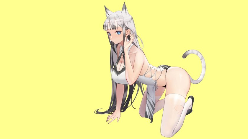Anime girls cats senx