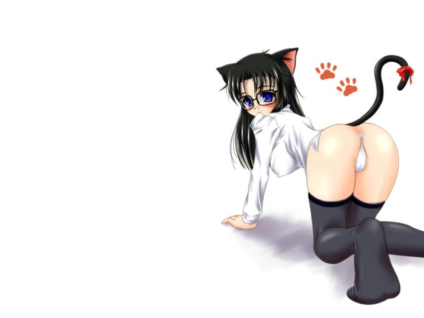Hentai girls cats