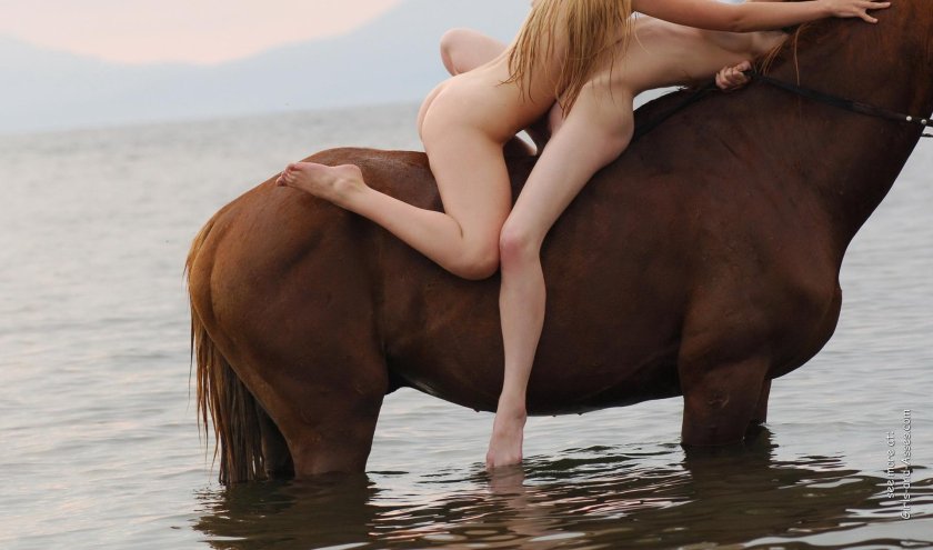 Horse and girl