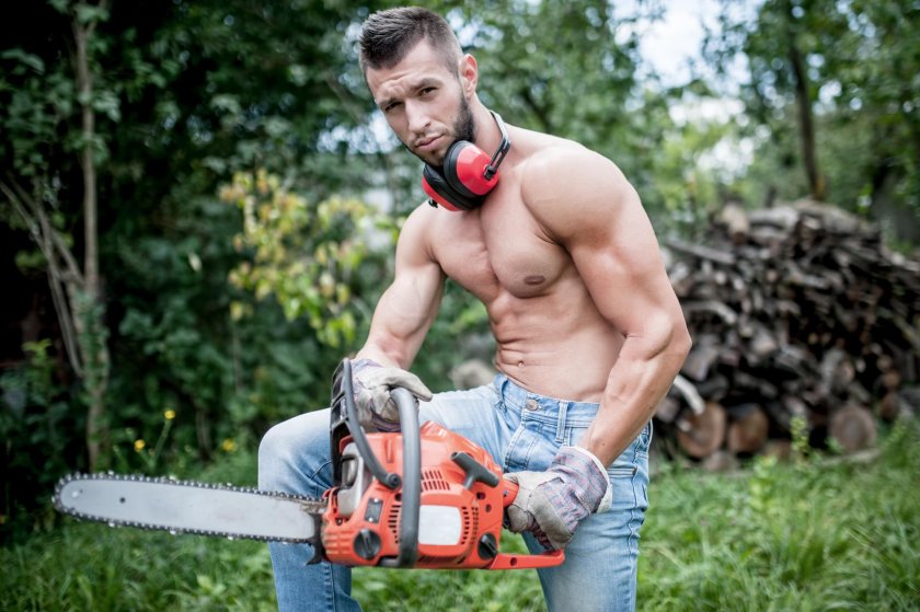 Lumberjack Genshin