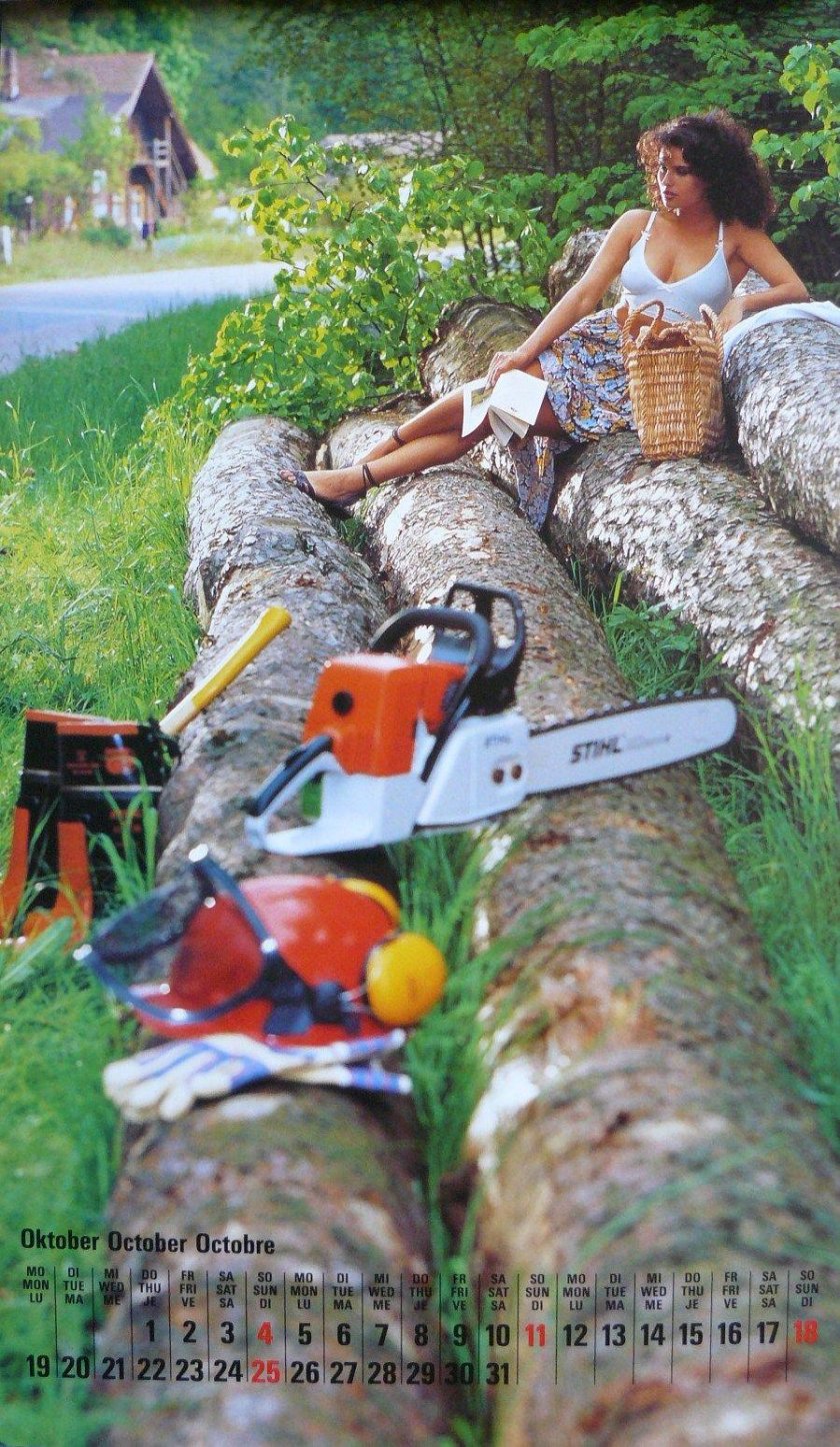 Stihl ms 361