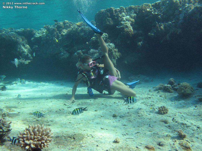 Nu friends under water diving
