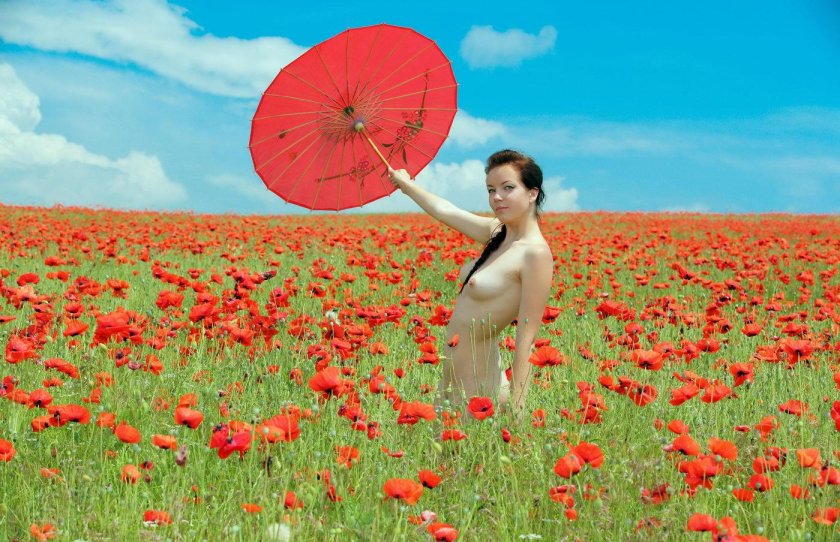 Poppy field photo shoot