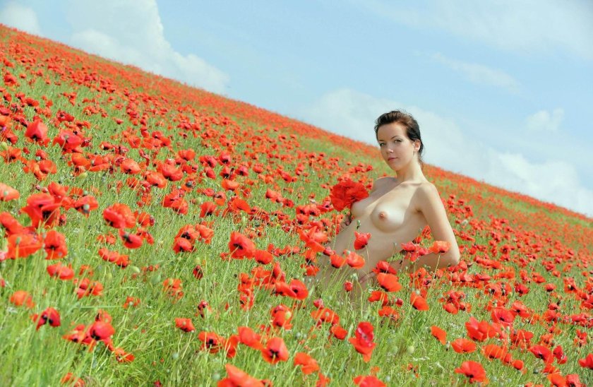 Erotic photo shoot in the field