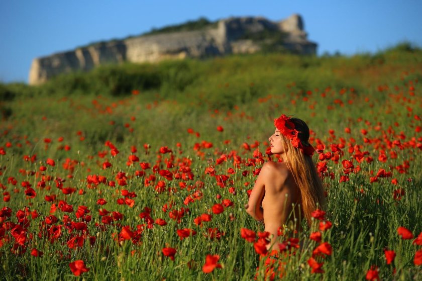Poppy field of Crimea