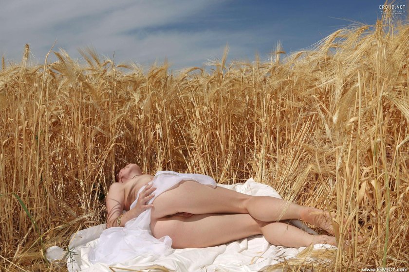 Erotic photo shoot in the field