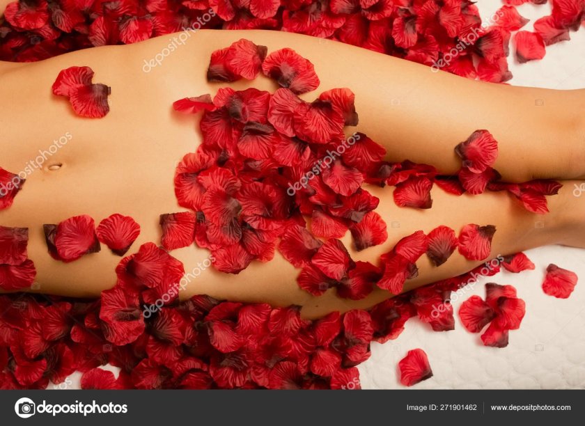 Rose petals on bed