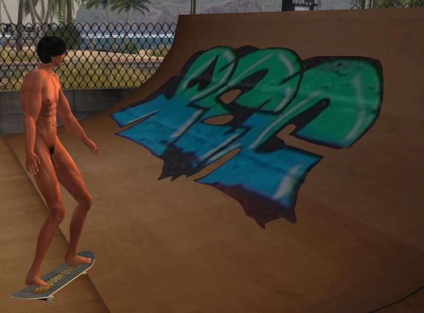 Tony Hawk Game