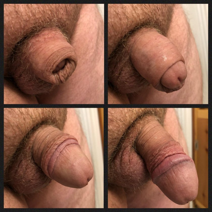What does a cut cock look like