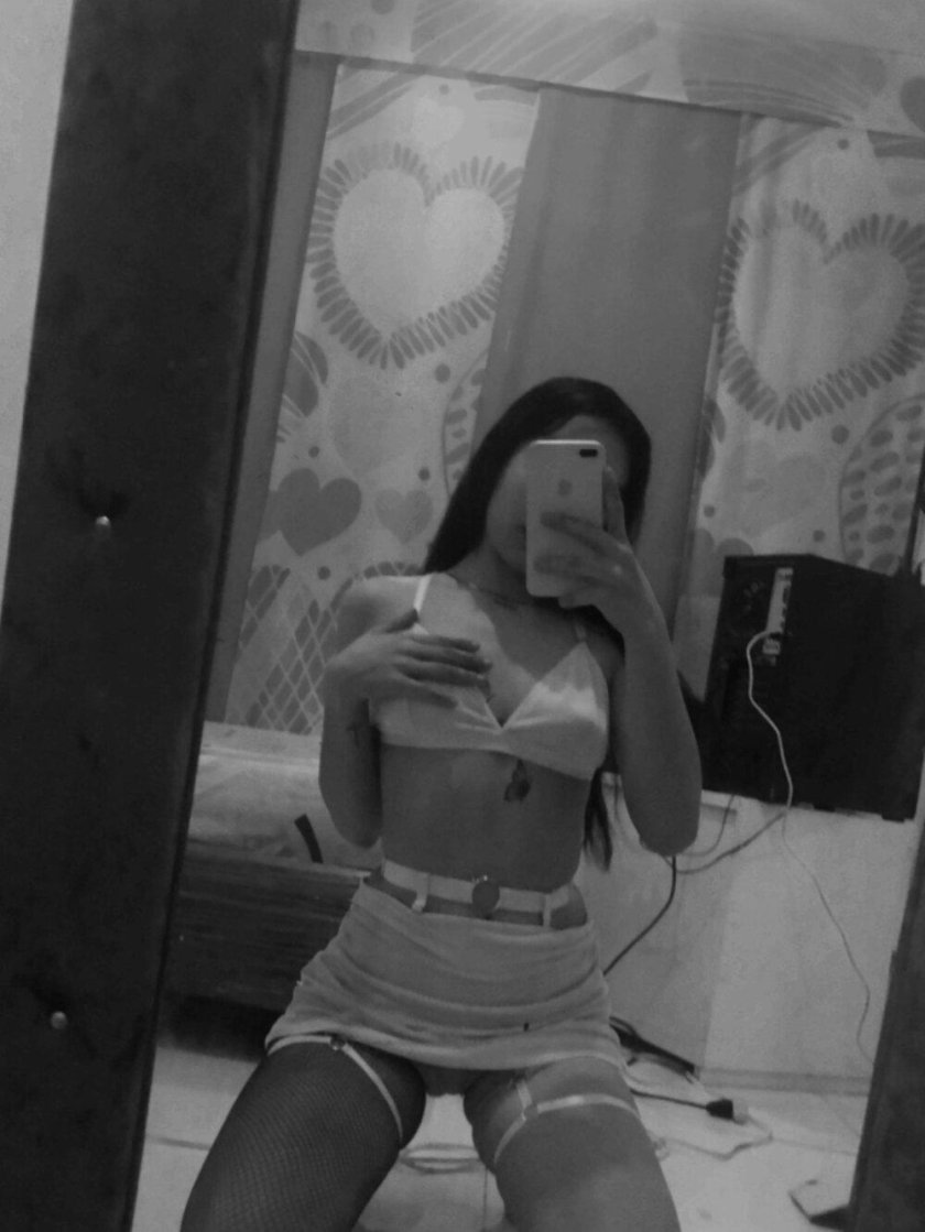 Webcams of the model