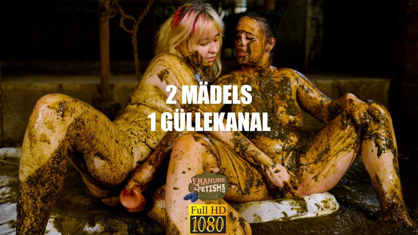 Manure fetish