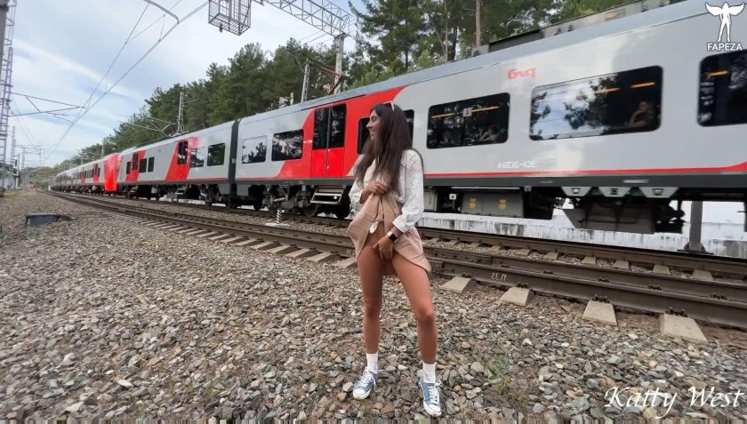 Swallow electric train