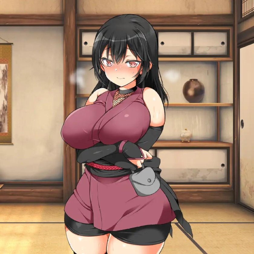 House of shinobi hentai