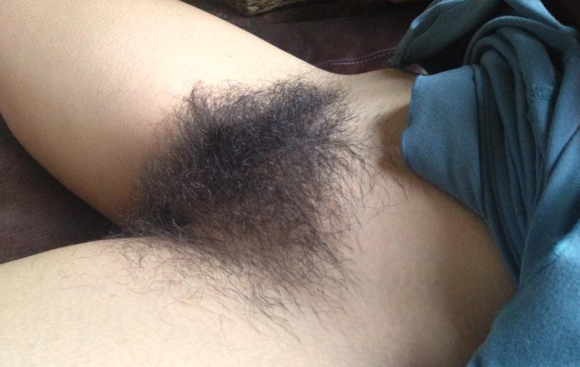 Very hairy pubis