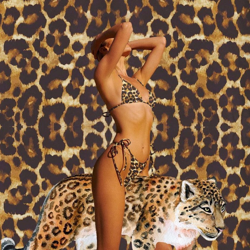 Leopard cheetah jaguar