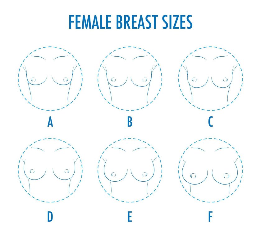 Classification of breast sizes