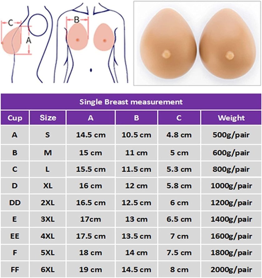 The shape of breasts