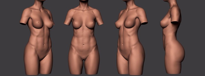 Naked female body Anatomy