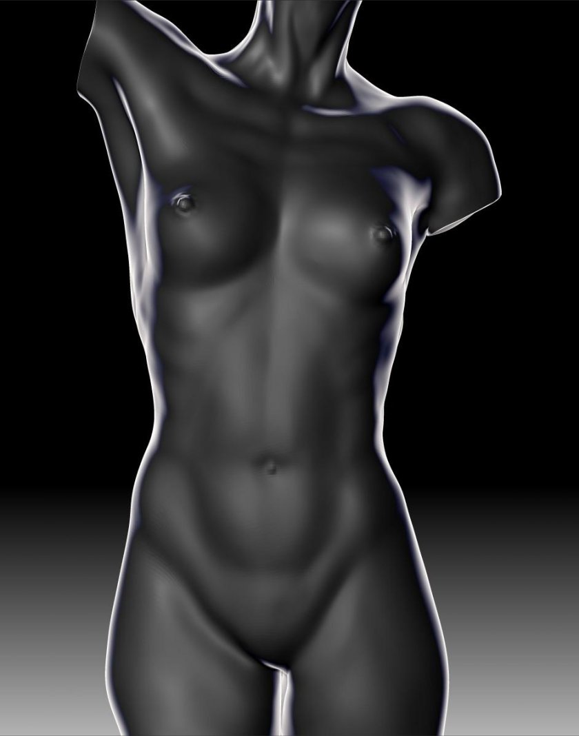 Female torso mannequin