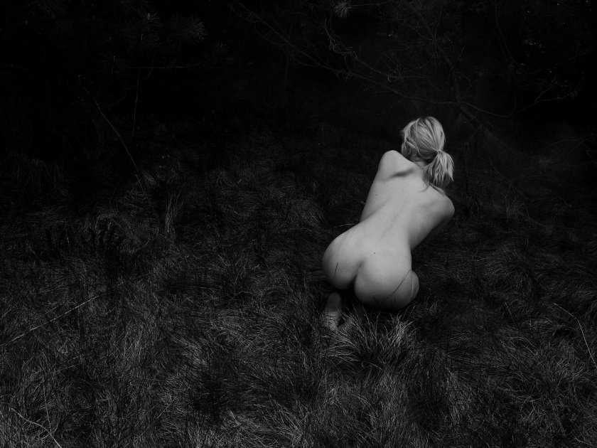 Photo from the section nude