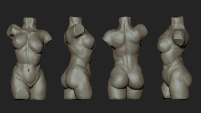 Female torso