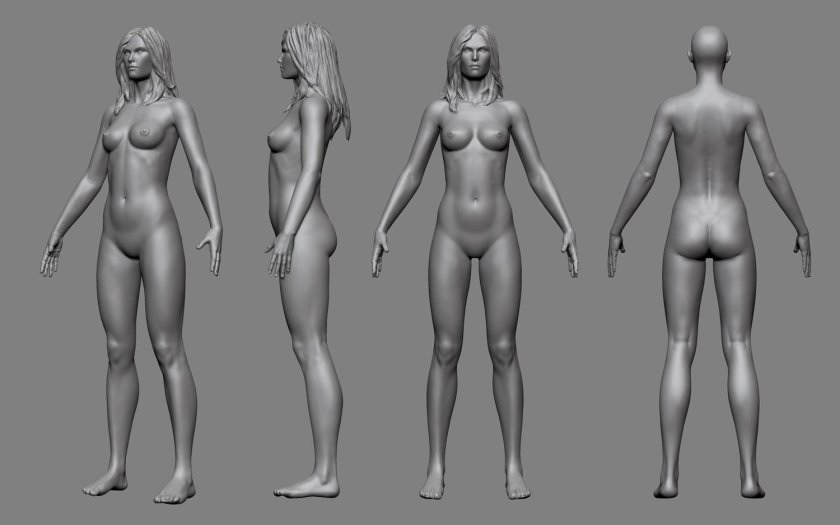 Reference of the female body