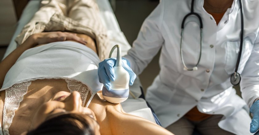 Ultrasound examination of the mammary glands