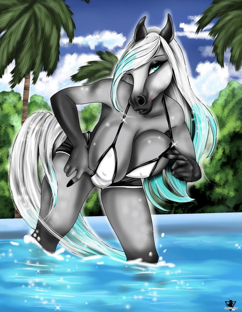 Horse boobs