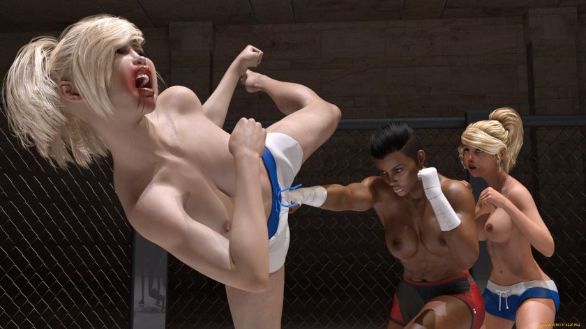 Girls fight 3 d graphics