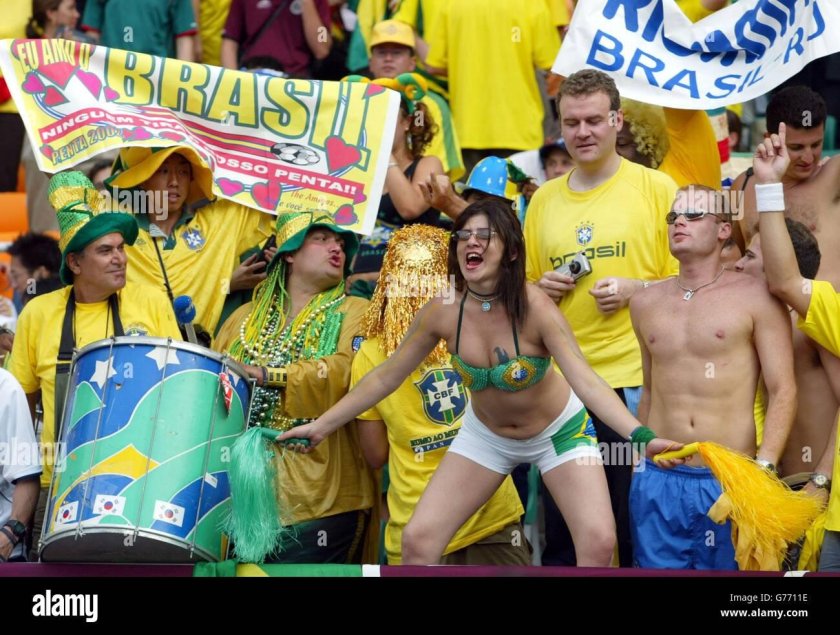 Brazilian fan 2002