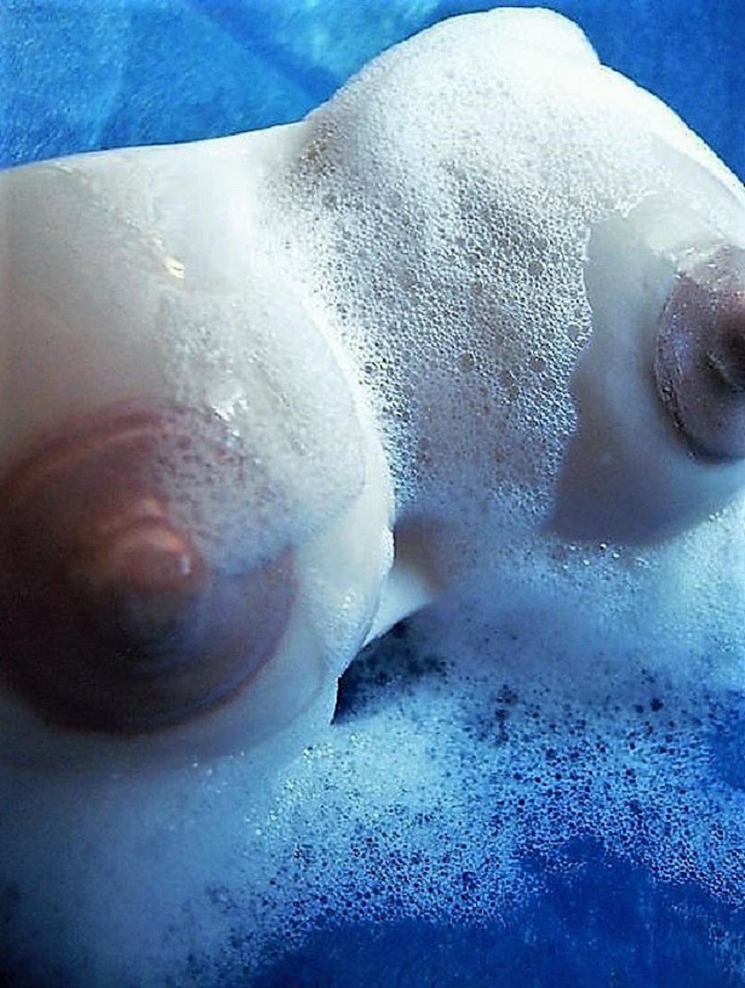 Soap tits