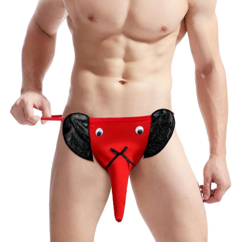 Male Strenges Elephant