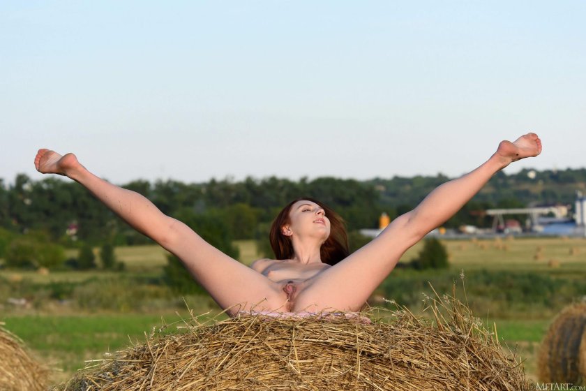 Photo shooting in the field