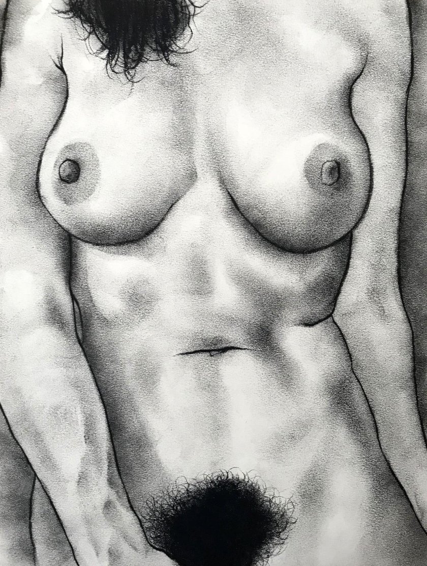 Female pubis in painting