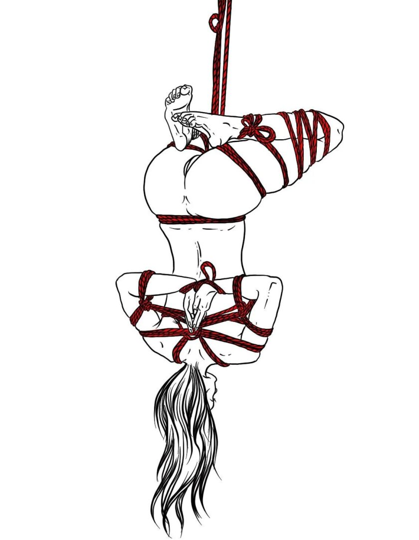 Shibari drawing with a pencil