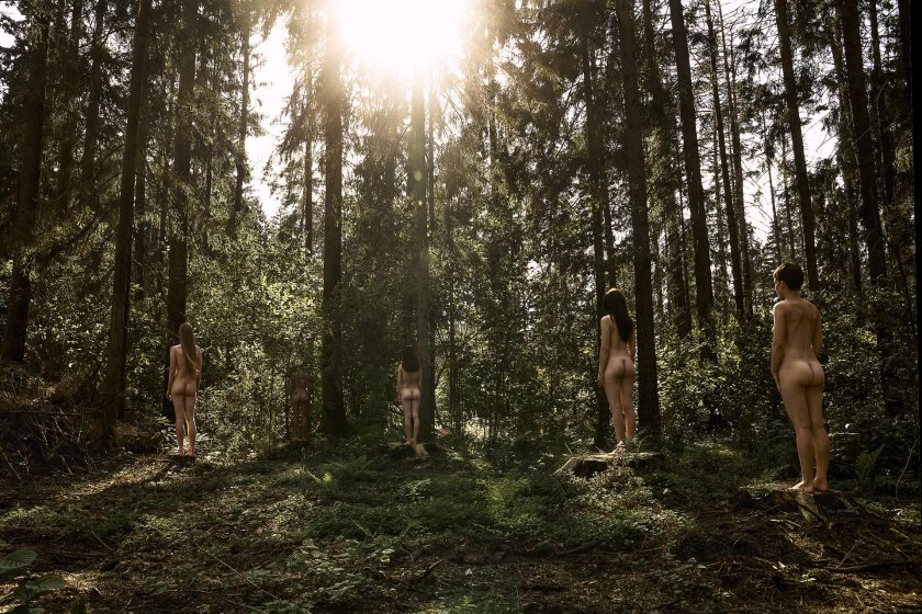 Beautiful naked women in the forest