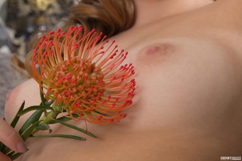 Leucopurum Protection