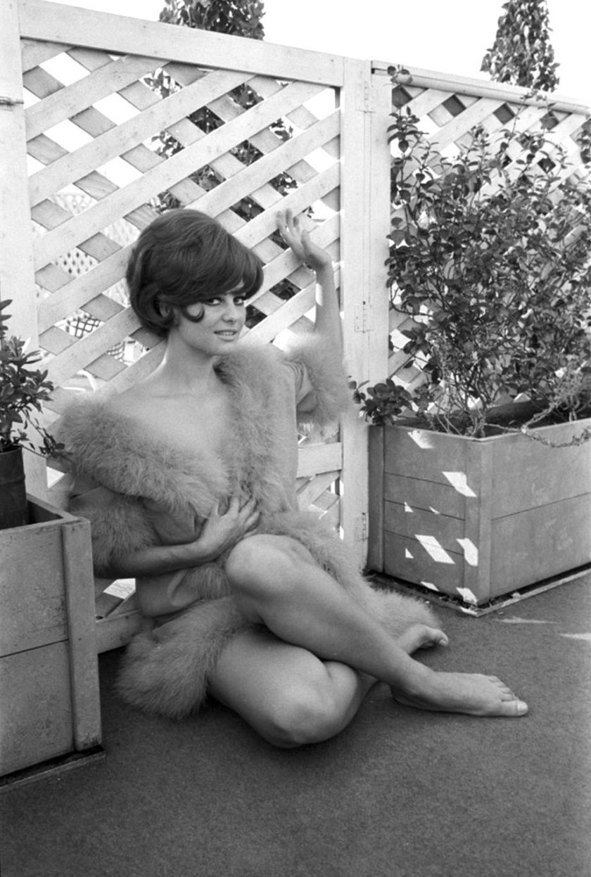 Claudia Cardinal Feet