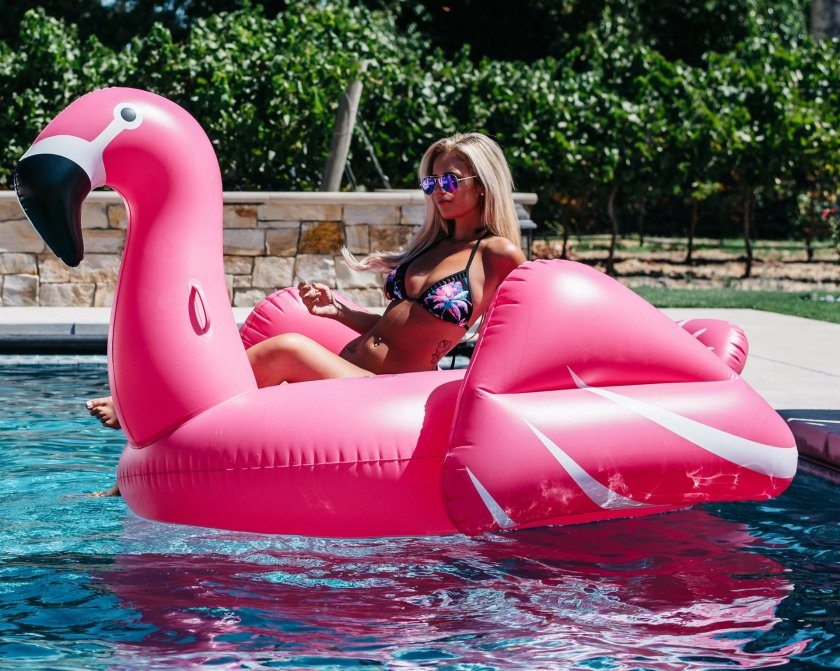Giant inflatable flamingos
