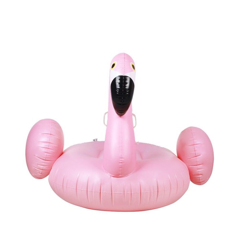 Flamingo swimming circle