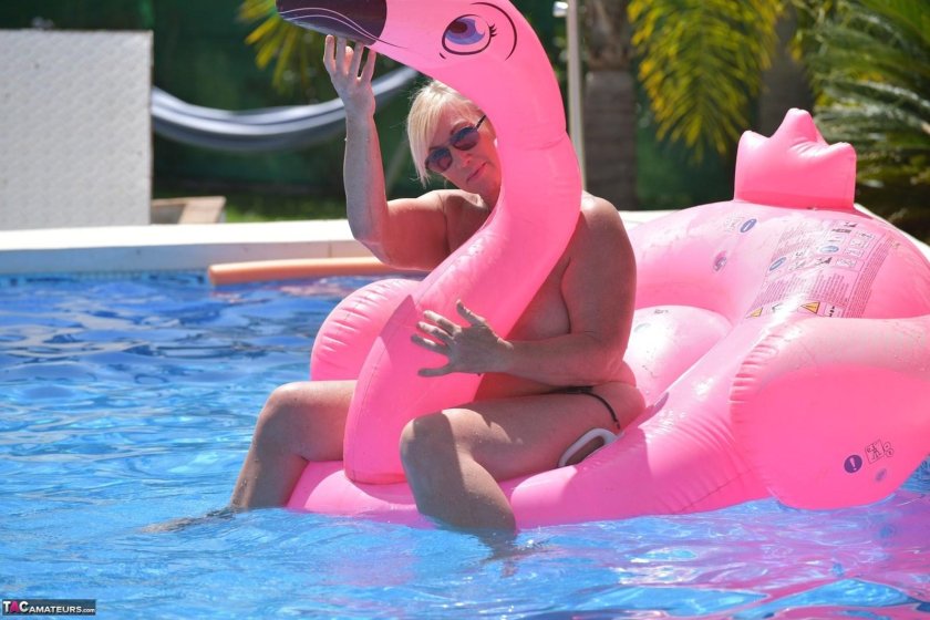 Inflatable flamingos for the pool