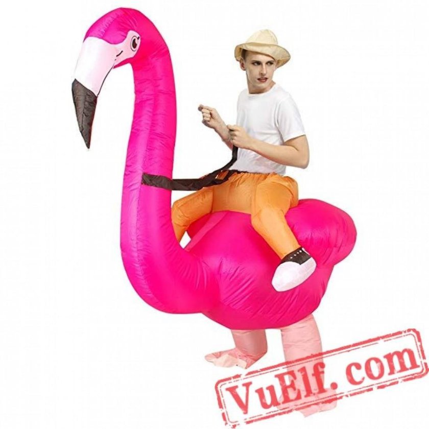 Flamingo inflatable costume