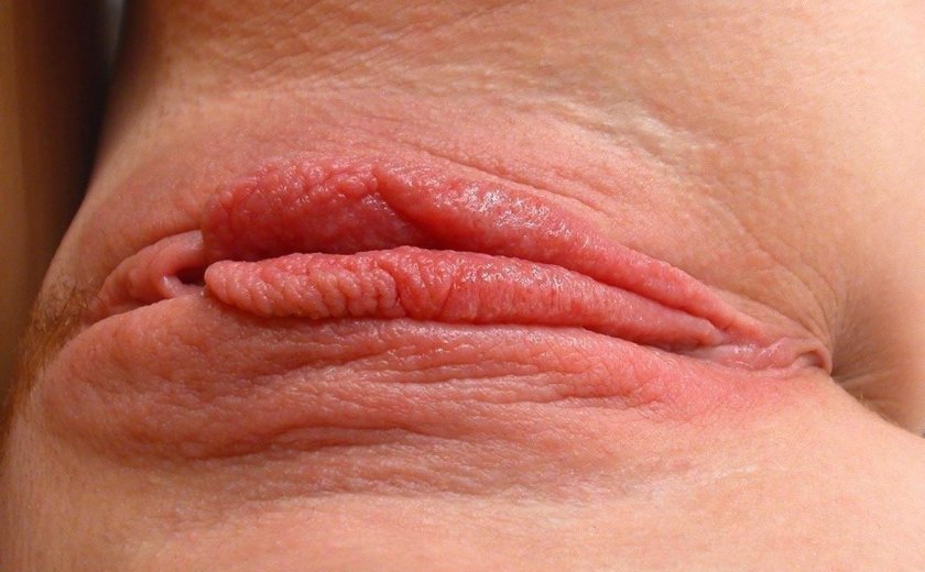 Labia lips close -up